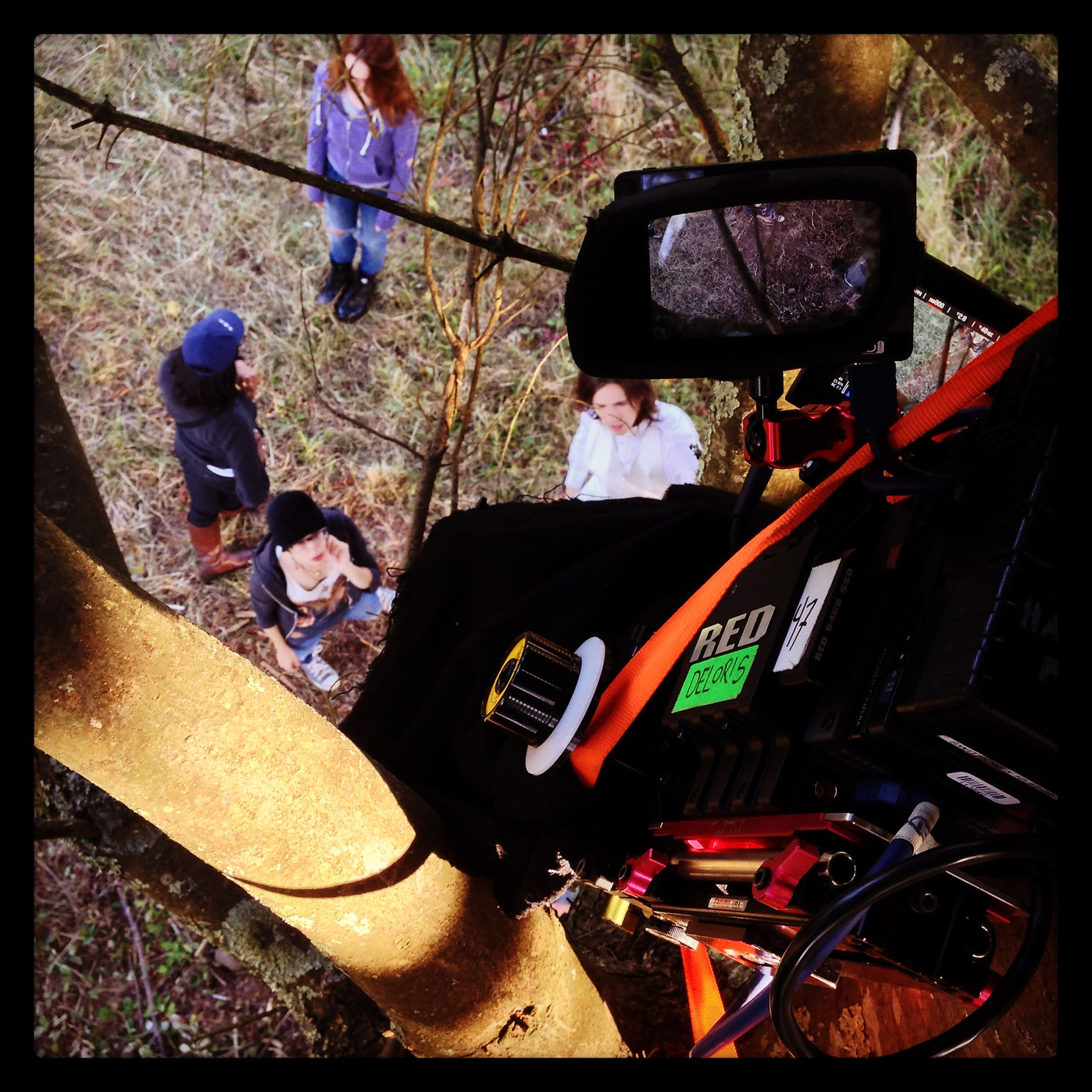Shooting from the trees — behind the scenes of Living with the Dead: A Love Story